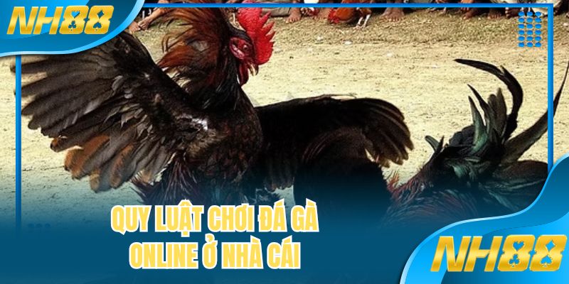 Quy luật chơi đá gà online ở nhà cái 